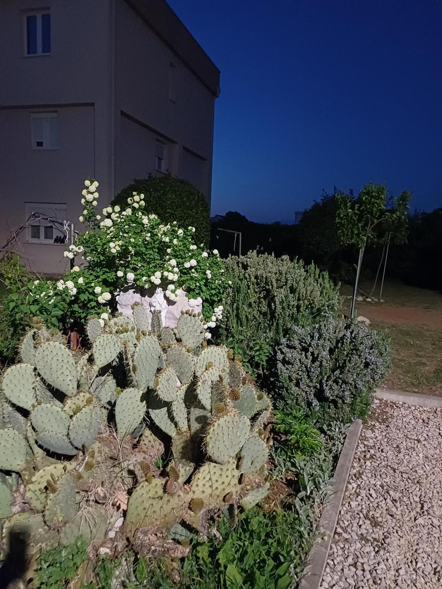Villa Ana Međugorje Extérieur photo