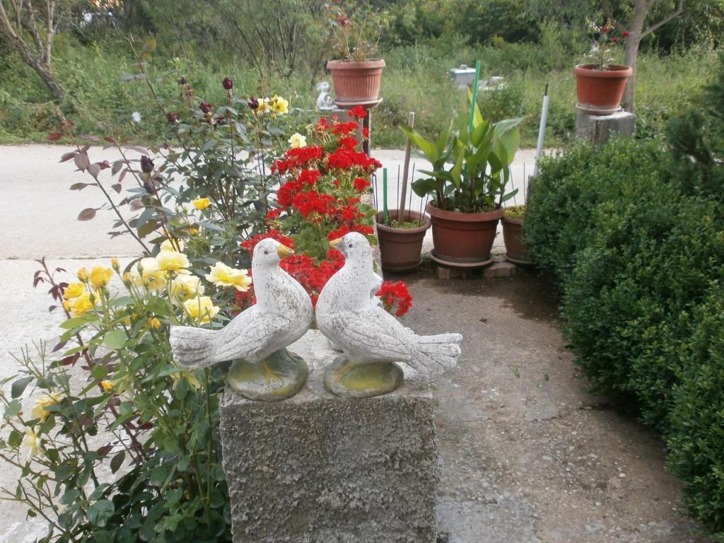 Villa Ana Međugorje Extérieur photo