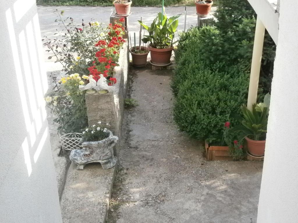 Villa Ana Međugorje Extérieur photo
