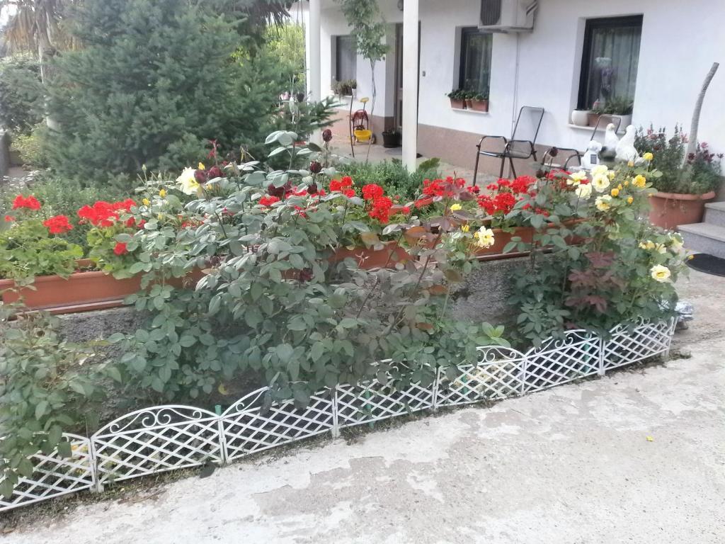 Villa Ana Međugorje Extérieur photo